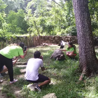 alumnos conviviendo con la tortuga