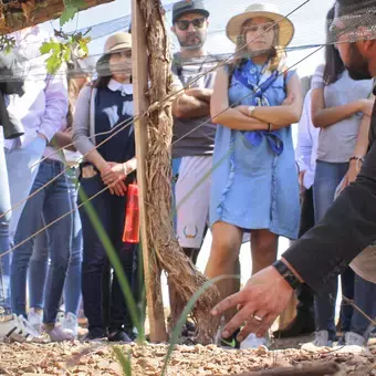 Actividad en terreno natural en Chihuahua.