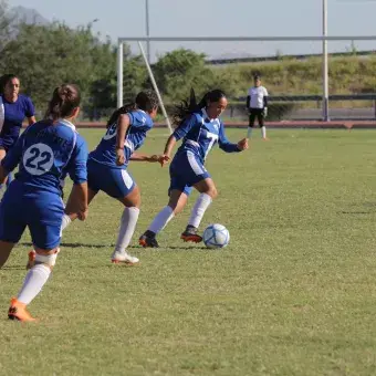 Intercampus 2018