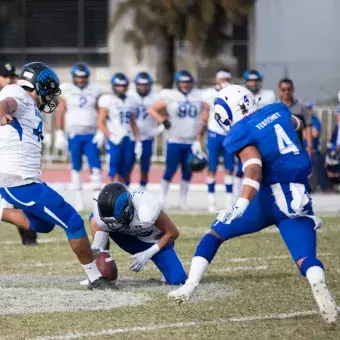 Los equipos del Tec de Monterrey, Borregos Monterrey y Borregos Toluca, se enfrentaron en la final CONADEIP