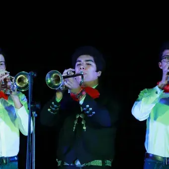 Muestra Cultural Diciembre 2018