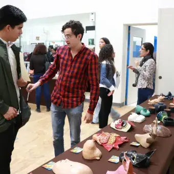 Muestra Cultural Diciembre 2018