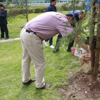 Maestros arrojando tierra a los arboles de las carreras