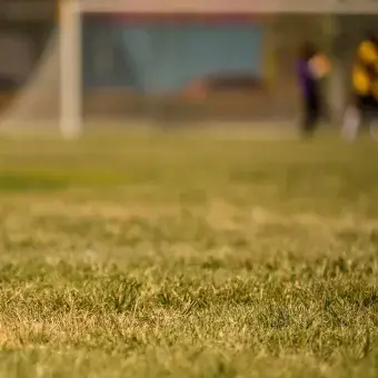 INTERCAMPUS REGIÓN NORTE 2019
