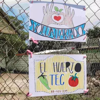 Día del voluntariado en el Tec Campus Tampico