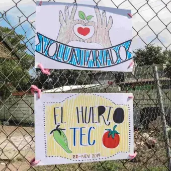 Día del voluntariado en el Tec Campus Tampico