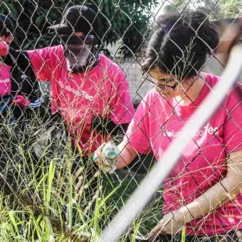 Día del voluntariado en el Tec Campus Tampico