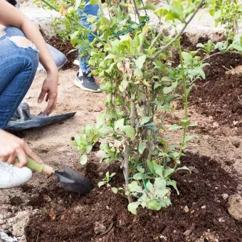 Actividades Voluntariado Escuela Quetzalcóatl de Pachuca