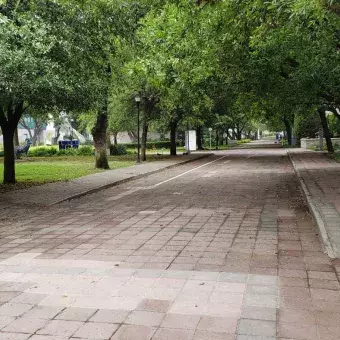 Campus Monterrey sin actividades presenciales 