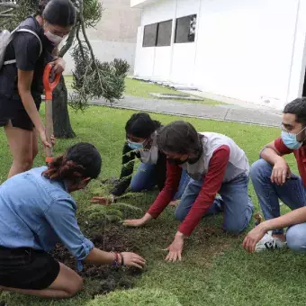 Varios de los participantes rodeando uno de los últimos árboles.