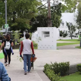 ¡Adelante! Caminando hasta las áreas donde van a plantar.