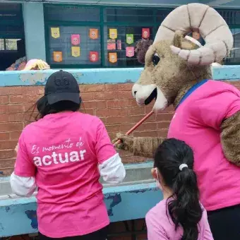 Alrededor de 98 escuelas públicas fueron beneficiadas con esta edición.