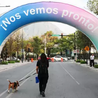 Una persona caminando junto a su mascota.