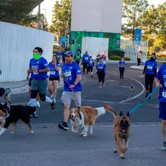 Las mascotas también fueron parte de esta carrera