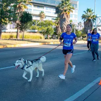 Comunidad Tec disfrutando el circuito con sus mascotas