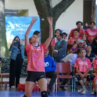 Jugadora de voleibol preparándose para colocar balón a compañera. 