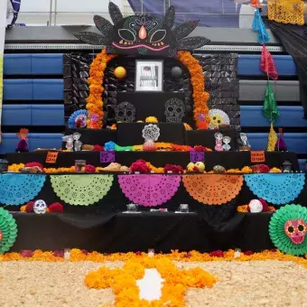 Altar de muertos de ajolote.