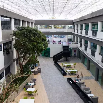 Tec Toluca: un nuevo aire para sus aulas y árboles (fotogalería)