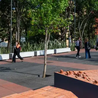 Al aire libre: alumnos tec estrenan espacio de convivencia en Tec CSF