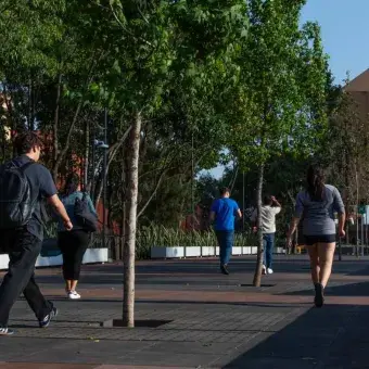 Al aire libre: alumnos tec estrenan espacio de convivencia en Tec CSF