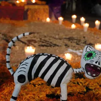 La PrepaTec Cuernavaca celebró la duodécima edición del Festival Omeyocán, inspirado en el Virreinato, con muestras gastronómicas, ofrendas, arte y música que unieron tradición, historia e innovación.