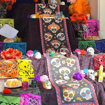 festival-humanidades-prepatec-obregon-navojoa