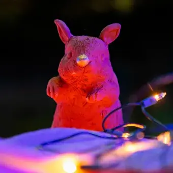 Identidad, expresión y cine: así se vivió Lago Cinema 2025 (Fotos)