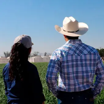 En el marco del Día del Agrónomo, el Campo Agropecuario Experimental (CAETEC) del Tec en Qro se posiciona como un laboratorio vivo donde la IA ya forma parte del trabajo diario en el campo. 