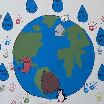 Se consiguieron resultados que impactaron en sus escuelas.